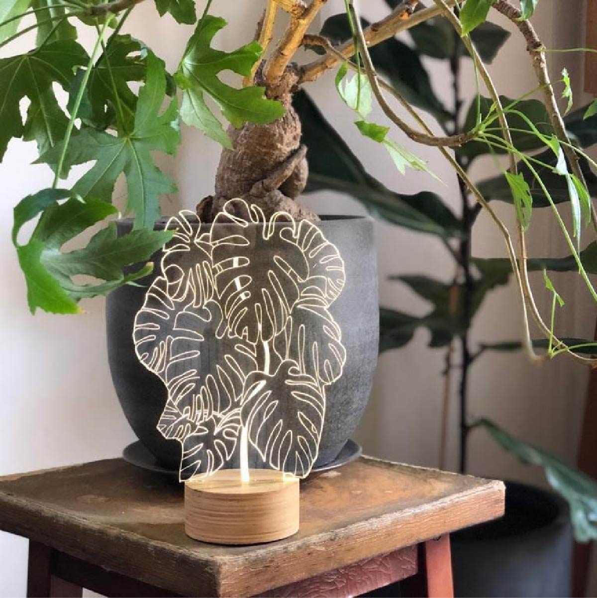 monstera lamp MONSTERA BULBING Optical Illusion 2D To 3D Table Lamp Eco Friendly LED – Studio Cheha