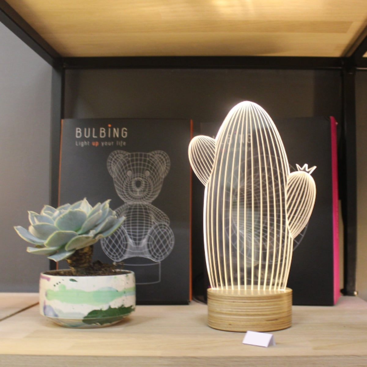 CACTUS BULBING Optical Illusion 2D To 3D Table Lamp, Eco Friendly LED ...
